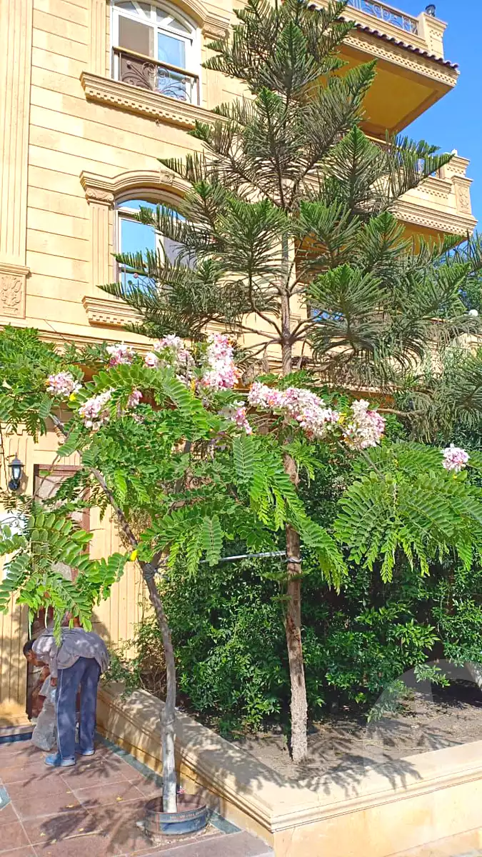https://aqarmap.com.eg/ar/listing/6675993-for-rent-cairo-6th-of-october-central-axis