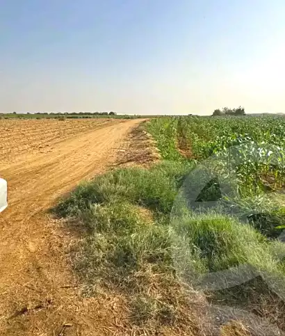 https://aqarmap.com.eg/ar/listing/6676923-for-sale-el-fayoum-lfywm-ljdyd