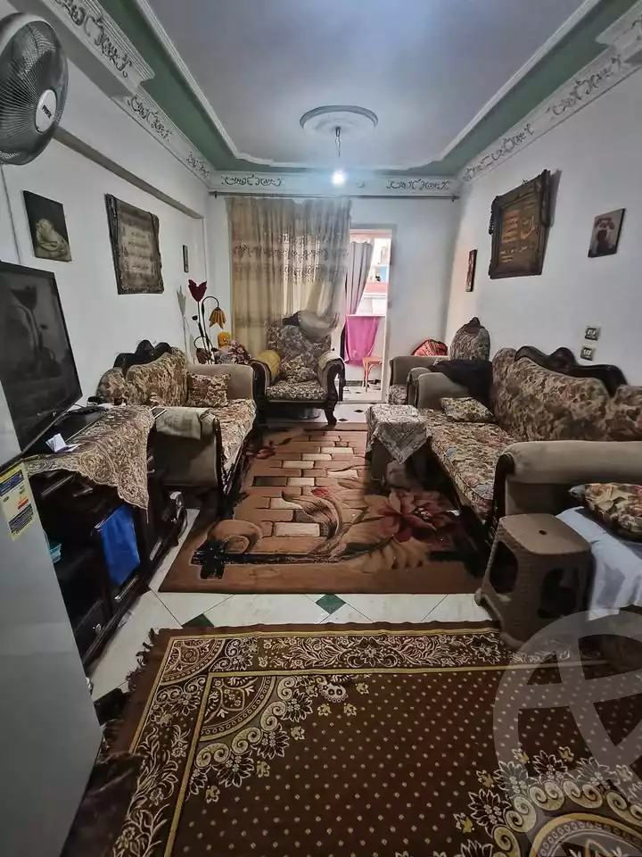 https://aqarmap.com.eg/ar/listing/6677003-for-sale-alexandria-lsywf-el-falki-street-16-el-eslah