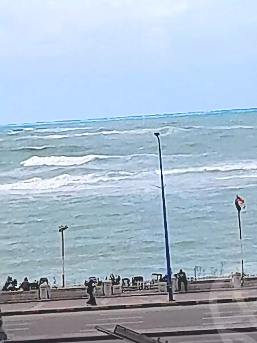 https://aqarmap.com.eg/en/listing/6683542-for-sale-alexandria-el-asafra-l-sfr-bhry