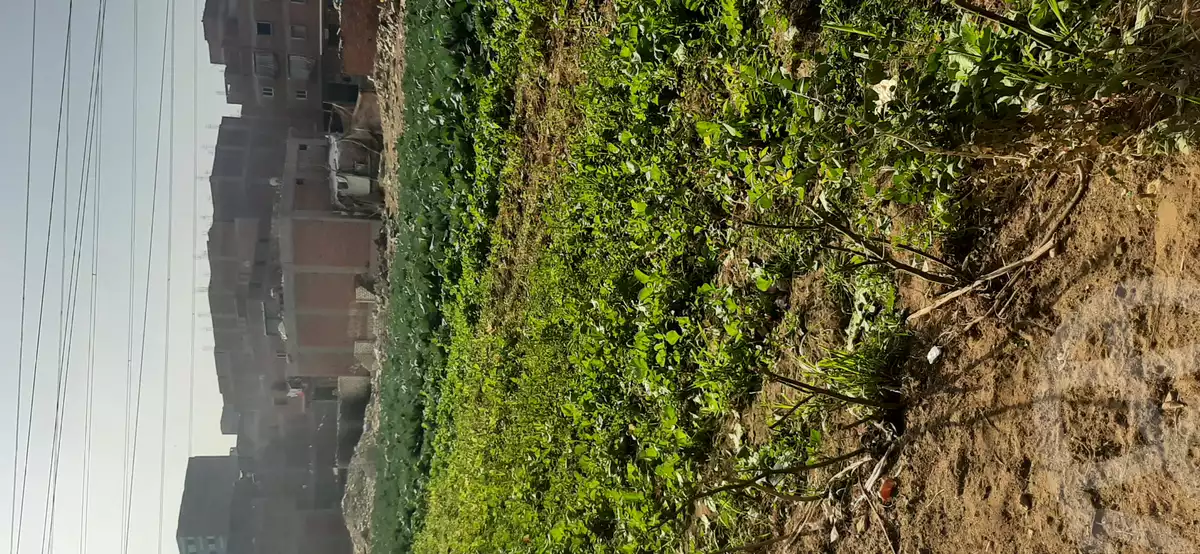 https://aqarmap.com.eg/en/listing/4421836-for-sale-cairo-imbaba-nahia