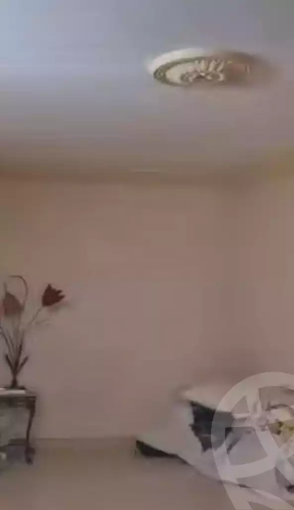 https://aqarmap.com.eg/en/listing/6681769-for-sale-cairo-ain-shams