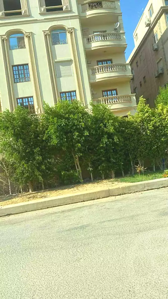 https://aqarmap.com.eg/en/listing/6685059-for-rent-cairo-new-cairo-first-settlement-abbas-el-akad-axis