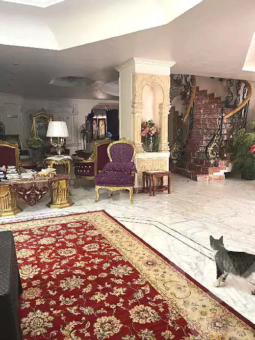 https://aqarmap.com.eg/ar/listing/6686393-for-sale-cairo-new-cairo-el-ahyaa-first-neighborhood-street-1