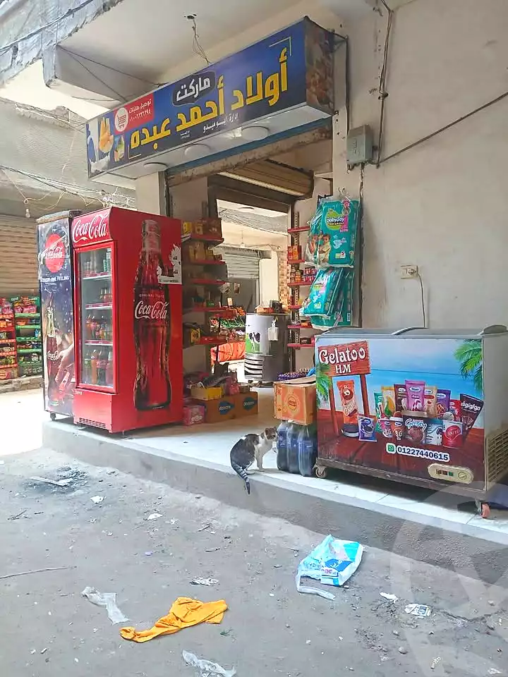 https://aqarmap.com.eg/ar/listing/6692533-for-sale-alexandria-lm-mwr-el-maamora-el-balad