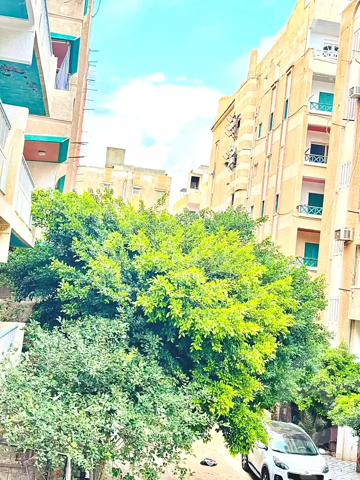 https://aqarmap.com.eg/en/listing/6694511-for-sale-alexandria-l-jmy-shataa-el-nakheel