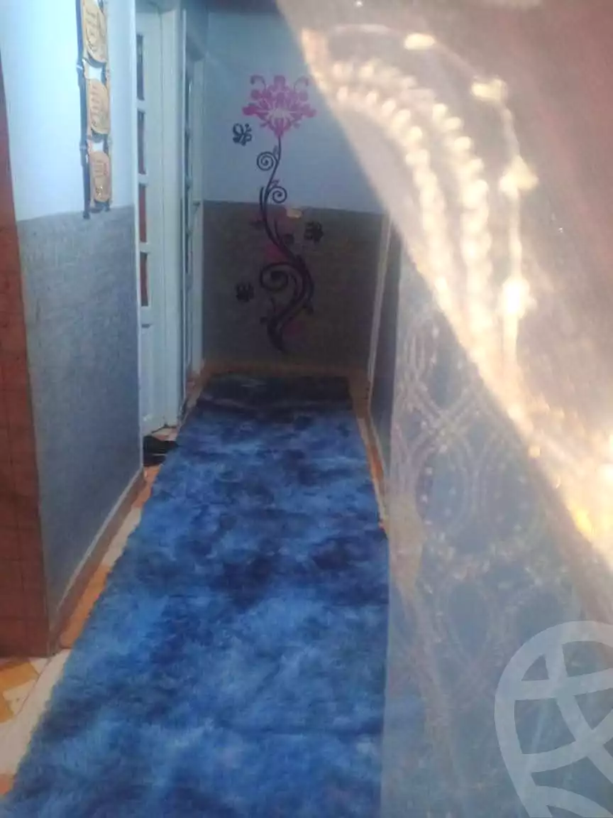 https://aqarmap.com.eg/ar/listing/6695297-for-sale-alexandria-miami-ibn-moeslh-al-arman-st