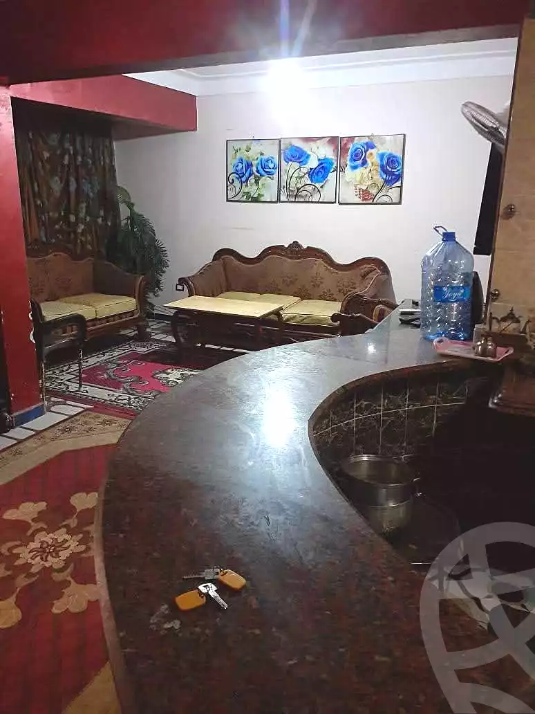 https://aqarmap.com.eg/ar/listing/6695297-for-sale-alexandria-miami-ibn-moeslh-al-arman-st