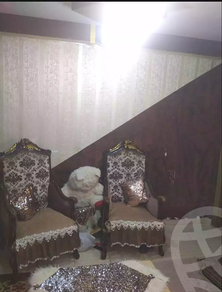https://aqarmap.com.eg/en/listing/6697087-for-sale-alexandria-l-jmy-el-hanouvel