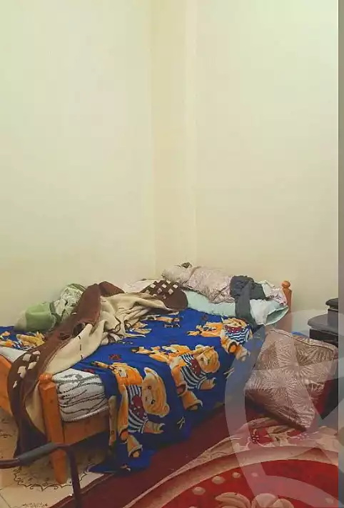 https://aqarmap.com.eg/en/listing/6699476-for-sale-alexandria-l-jmy-bw-ywsf