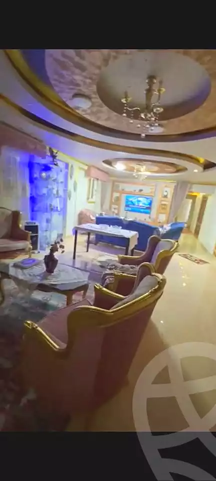 https://aqarmap.com.eg/ar/listing/6699646-for-sale-alexandria-l-jmy-lbytsh-qased-kareem-st