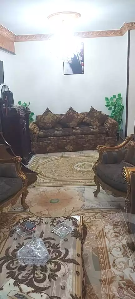 https://aqarmap.com.eg/en/listing/6699713-for-sale-alexandria-l-jmy-lbytsh-el-hay-st