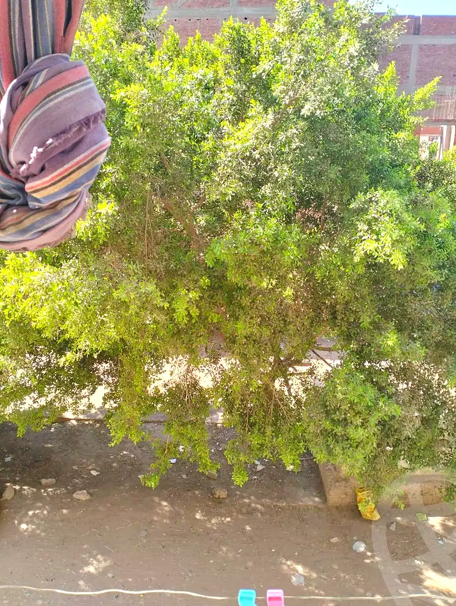https://aqarmap.com.eg/ar/listing/6700684-for-sale-qalyubia-el-khsos-el-rashah-st