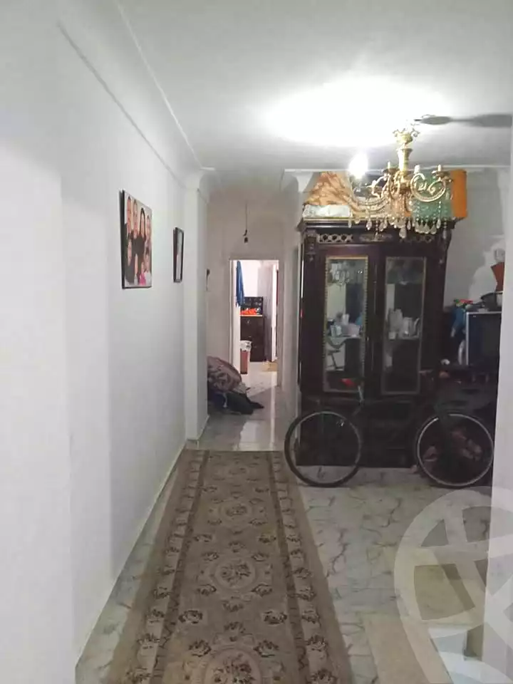 https://aqarmap.com.eg/en/listing/6709143-for-sale-alexandria-l-jmy-lbytsh-mohamed-el-fardi-st