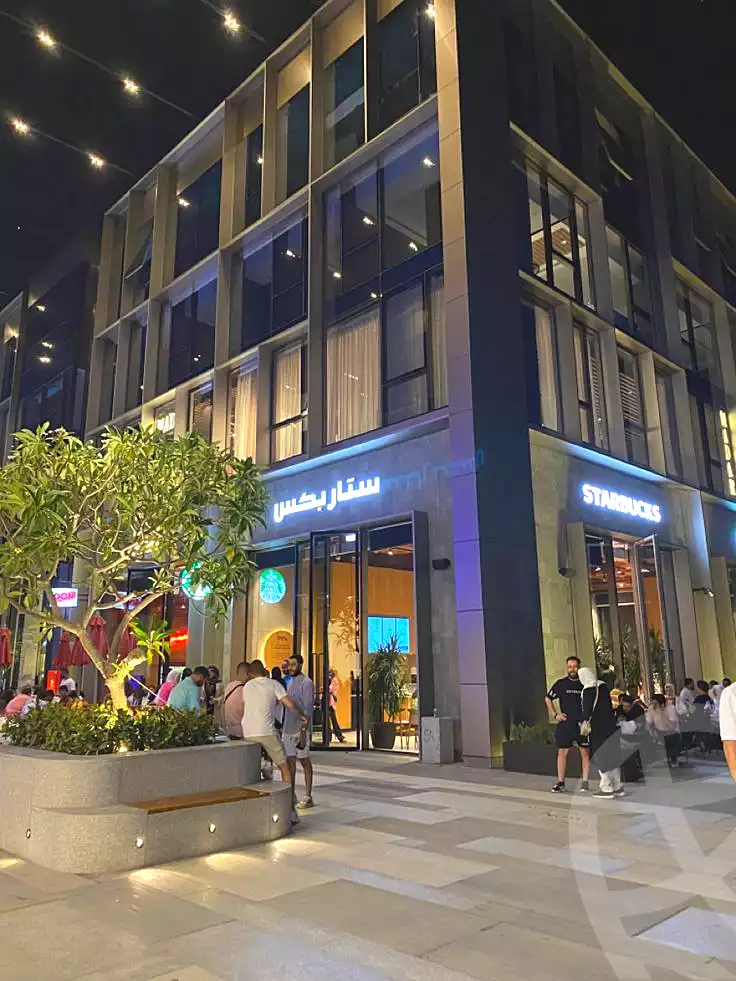 https://aqarmap.com.eg/en/listing/6709491-for-rent-cairo-new-cairo-mohammed-nagib-axis-st