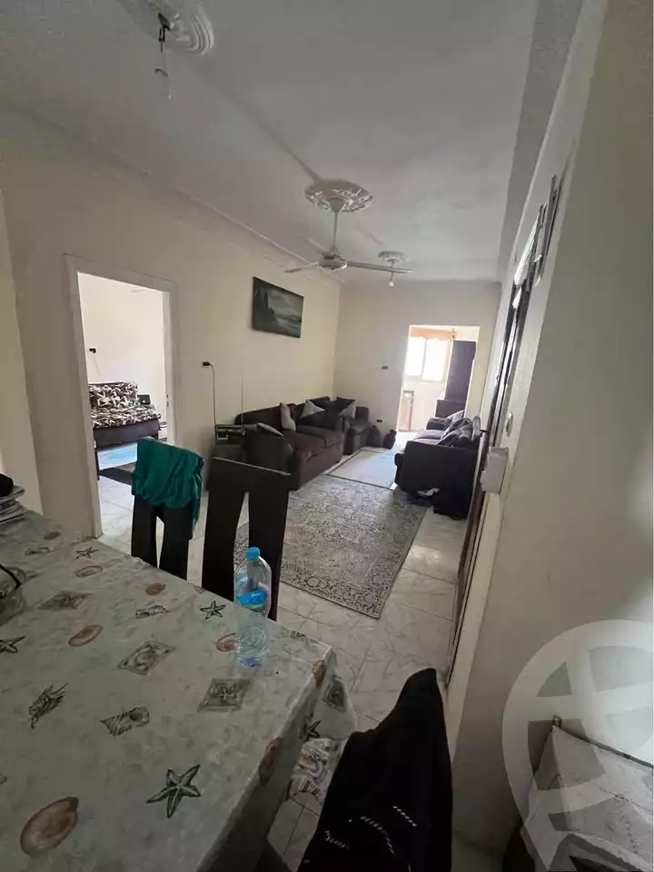 https://aqarmap.com.eg/ar/listing/6715487-for-sale-alexandria-l-jmy-lbytsh-al-samalehy-2-st