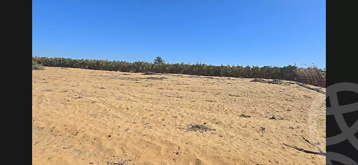https://aqarmap.com.eg/en/listing/6706361-for-sale-beheira-wadi-el-natrun-bany-salama