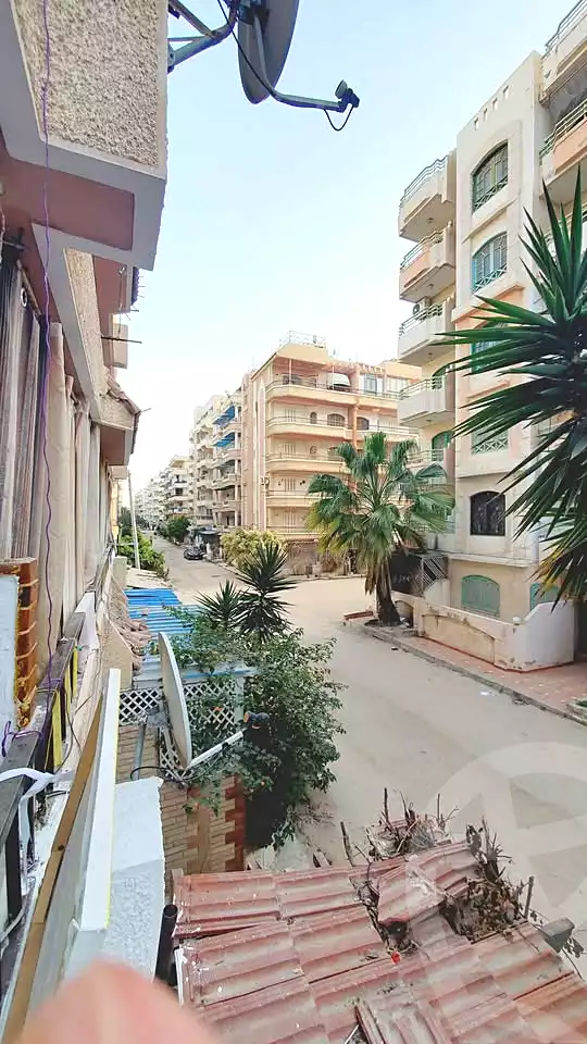https://aqarmap.com.eg/en/listing/6721469-for-sale-alexandria-l-jmy-shataa-el-nakheel