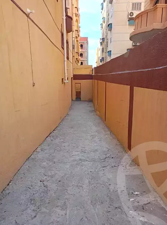 https://aqarmap.com.eg/en/listing/6725121-for-rent-sharqia-10th-of-ramadan