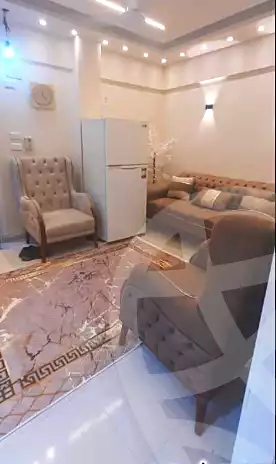 https://aqarmap.com.eg/en/listing/6727225-for-rent-cairo-manial