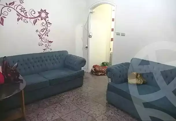 https://aqarmap.com.eg/ar/listing/6728075-for-rent-alexandria-ibrahimia-la-jetee-st