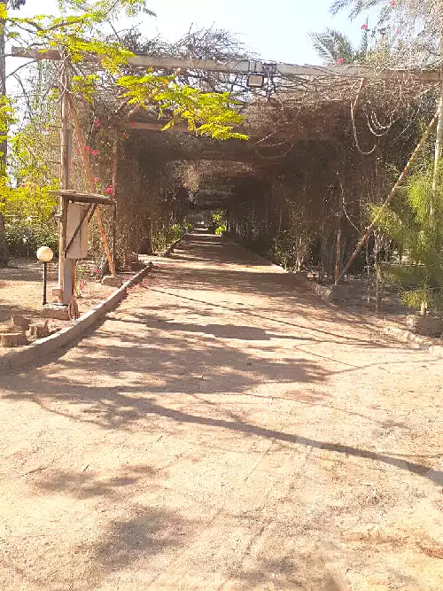 https://aqarmap.com.eg/ar/listing/6161538-for-sale-cairo-al-oubour-jm-y-rby-kht-8-jnwb