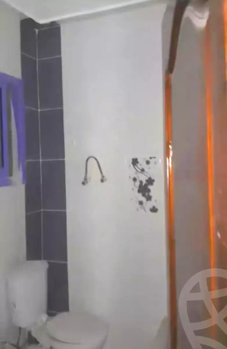 https://aqarmap.com.eg/en/listing/6730079-for-sale-alexandria-l-jmy-el-hanouvel-rich-home-st