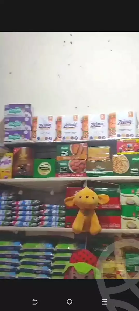 https://aqarmap.com.eg/ar/listing/6730353-for-sale-alexandria-sydy-bshr-sydy-bshr-bhry-gamal-abd-el-nasir-st