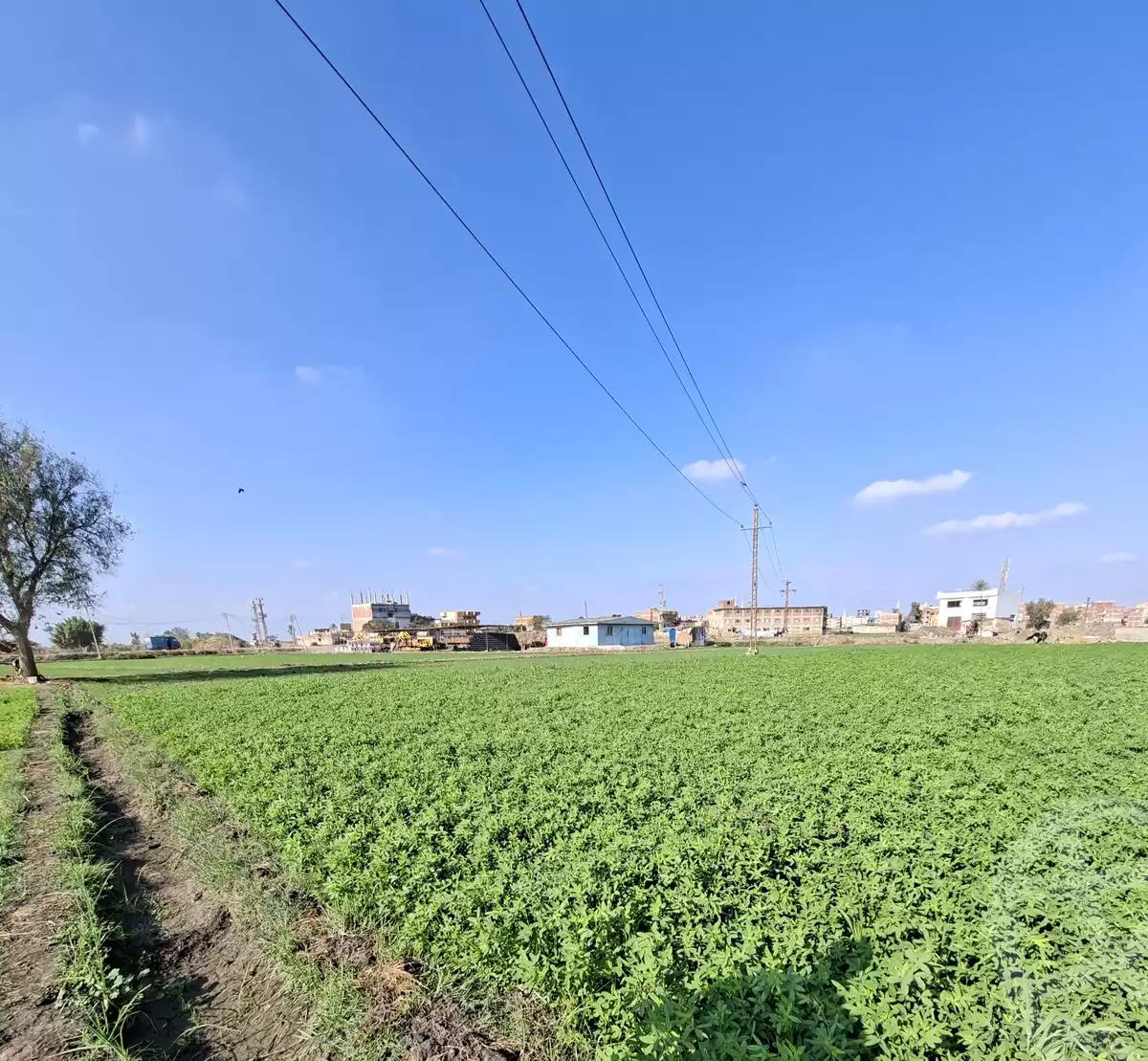 https://aqarmap.com.eg/ar/listing/6732978-for-sale-sharqia-faqous-faqous-city