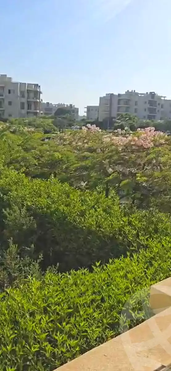 https://aqarmap.com.eg/en/listing/6733515-for-rent-cairo-el-sheikh-zayed-city-compounds-dh-drys