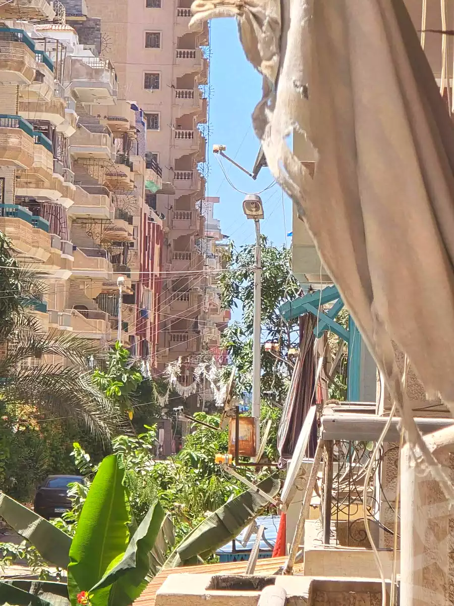 https://aqarmap.com.eg/ar/listing/6734885-for-sale-alexandria-l-jmy-shataa-el-nakheel