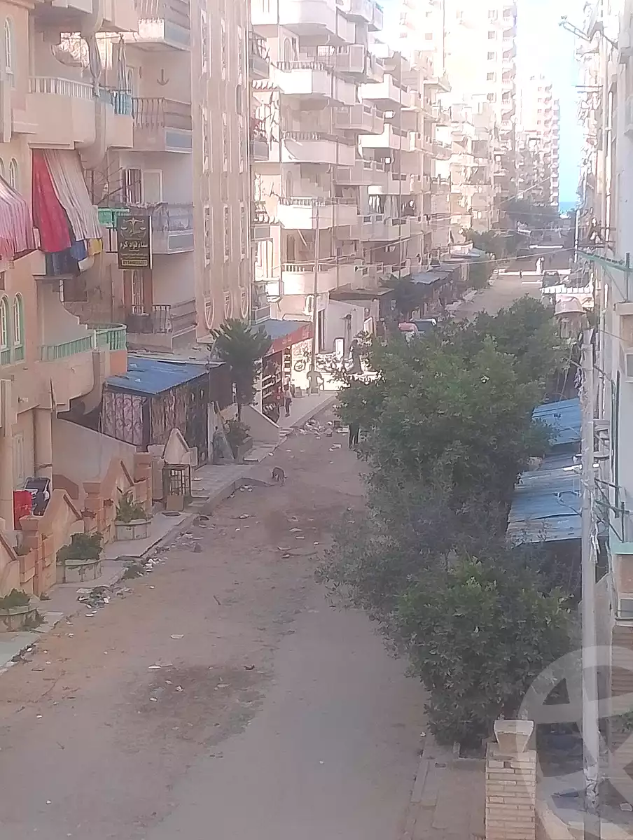 https://aqarmap.com.eg/en/listing/6735689-for-sale-alexandria-l-jmy-shataa-el-nakheel-street-57