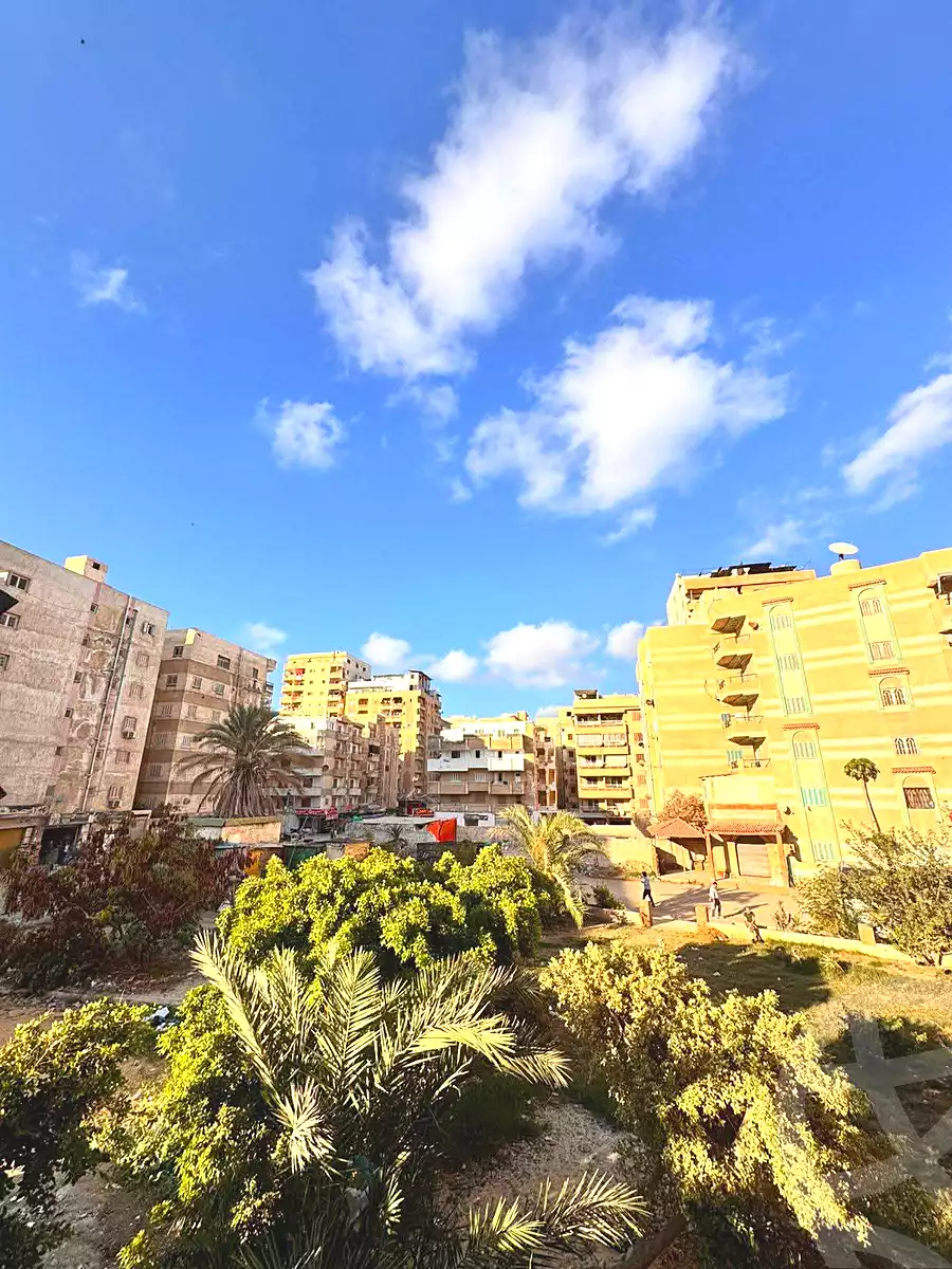 https://aqarmap.com.eg/ar/listing/6738358-for-sale-alexandria-l-jmy-shataa-el-nakheel