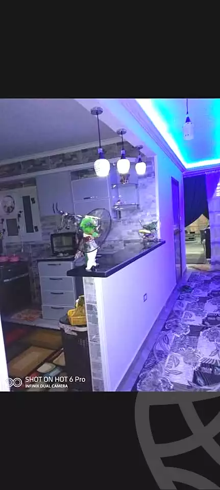 https://aqarmap.com.eg/ar/listing/6740264-for-sale-alexandria-l-jmy-lbytsh-bianchiii