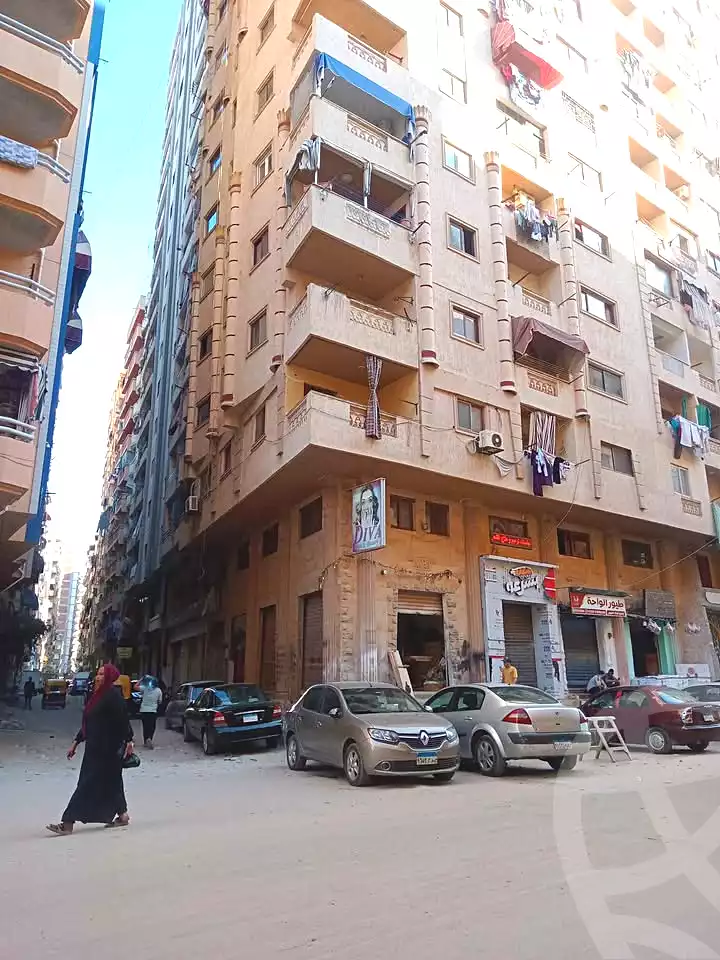 https://aqarmap.com.eg/en/listing/6742145-for-sale-alexandria-el-mandara