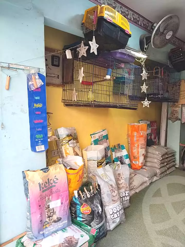 https://aqarmap.com.eg/en/listing/6742303-for-sale-alexandria-lsywf-shamaa