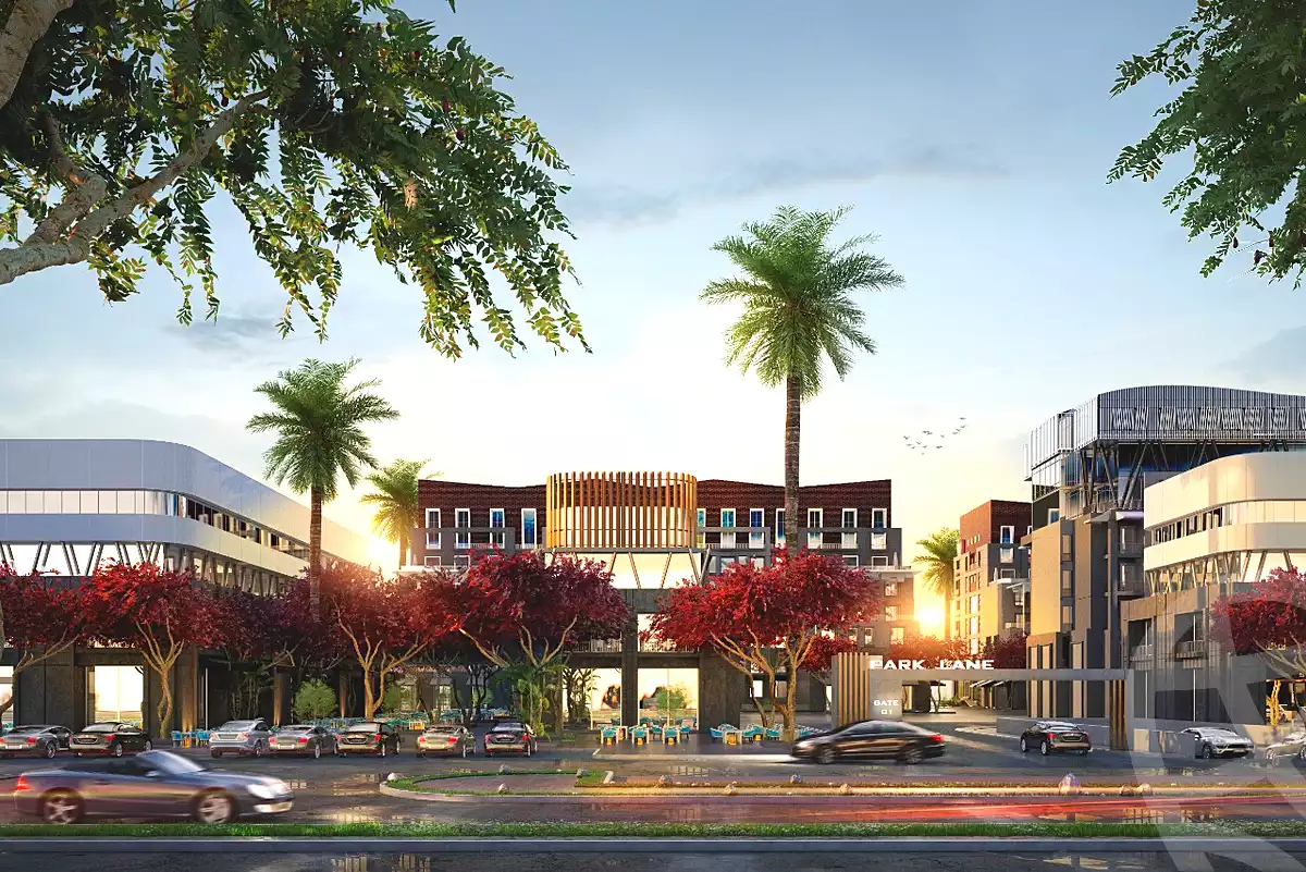 https://aqarmap.com.eg/ar/listing/6743034-for-sale-cairo-new-administrative-capital-r7-park-lane