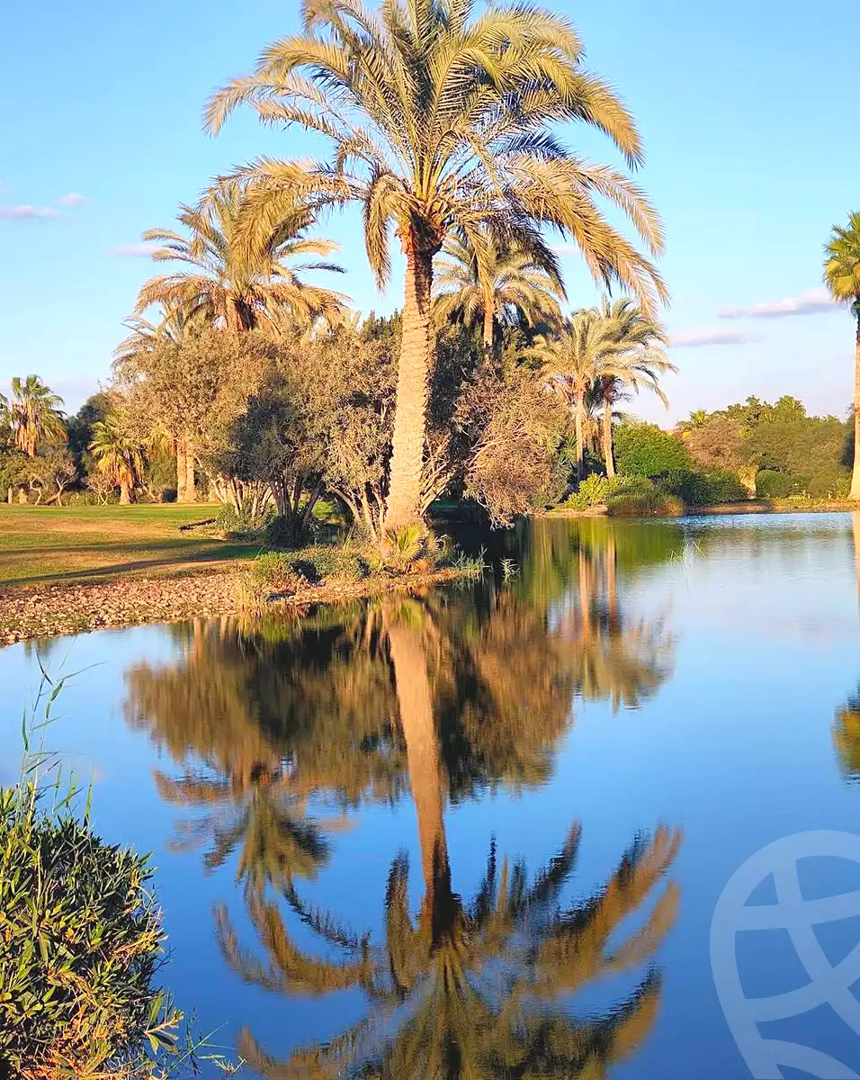 https://aqarmap.com.eg/ar/listing/6743061-for-sale-cairo-6th-of-october-compounds-dream-land-lake-dream-dream-land-compound