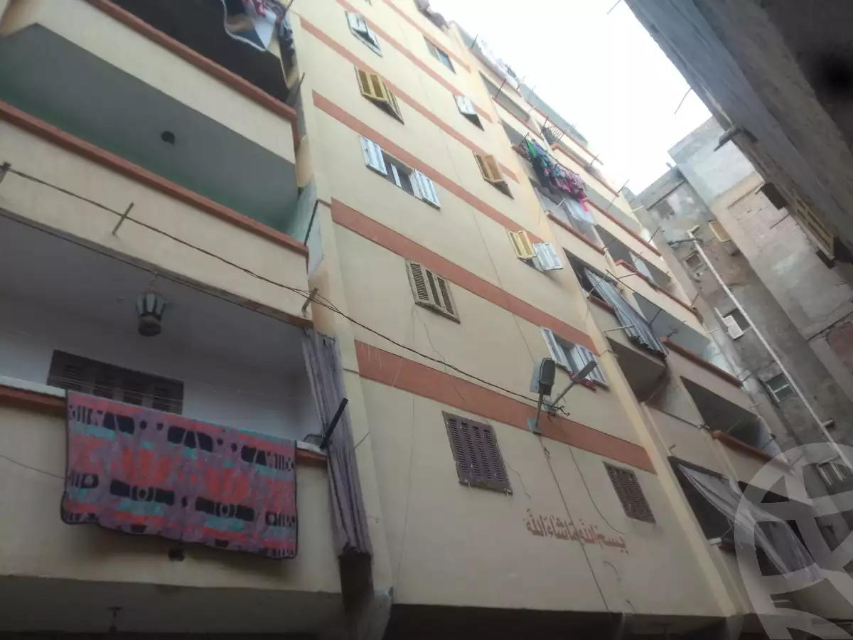 https://aqarmap.com.eg/ar/listing/6753765-for-sale-alexandria-l-jmy-lbytsh-abd-el-fattah-el-talkhawy