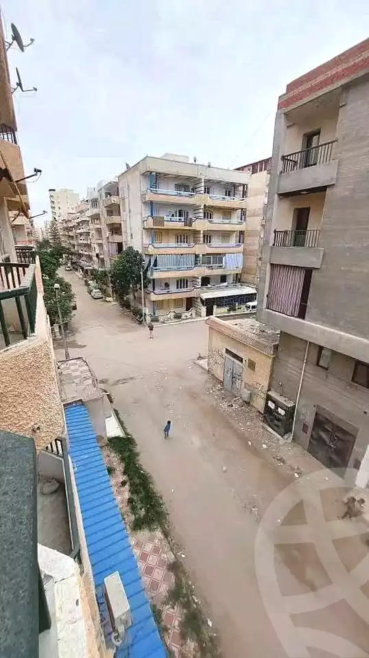 https://aqarmap.com.eg/ar/listing/6756482-for-sale-alexandria-l-jmy-shataa-el-nakheel