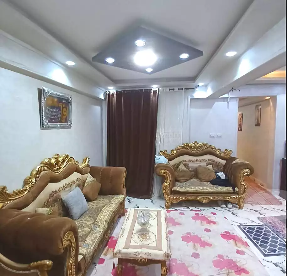 https://aqarmap.com.eg/ar/listing/6760893-for-sale-alexandria-l-jmy-lbytsh-ain-shams-st