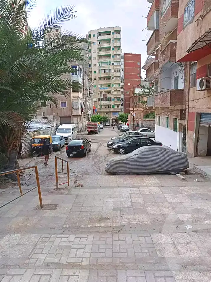 https://aqarmap.com.eg/ar/listing/6761198-for-sale-alexandria-moharram-bey-dr-gamal-el-deen-nouh-st