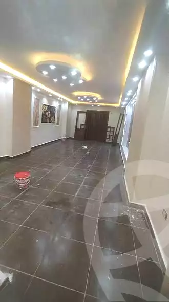 https://aqarmap.com.eg/en/listing/6761250-for-rent-cairo-faisal