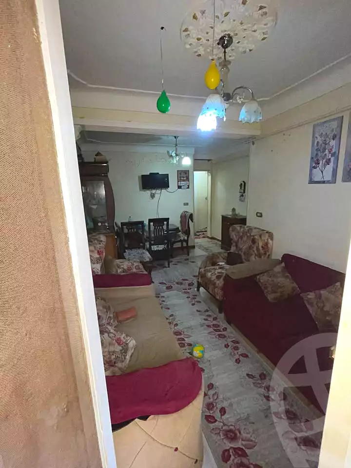 https://aqarmap.com.eg/ar/listing/6766066-for-sale-alexandria-lsywf-el-falki