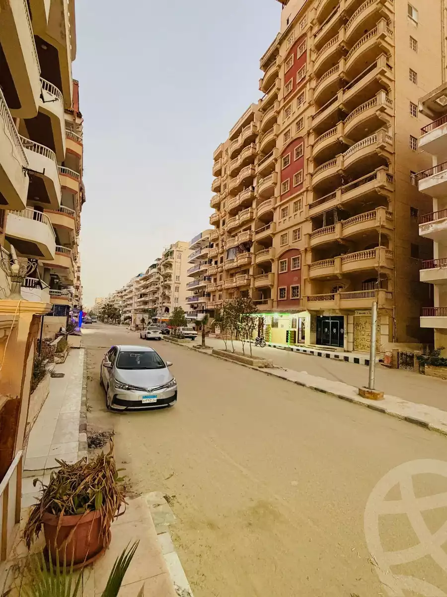 https://aqarmap.com.eg/en/listing/6767826-for-sale-alexandria-l-jmy-shataa-el-nakheel