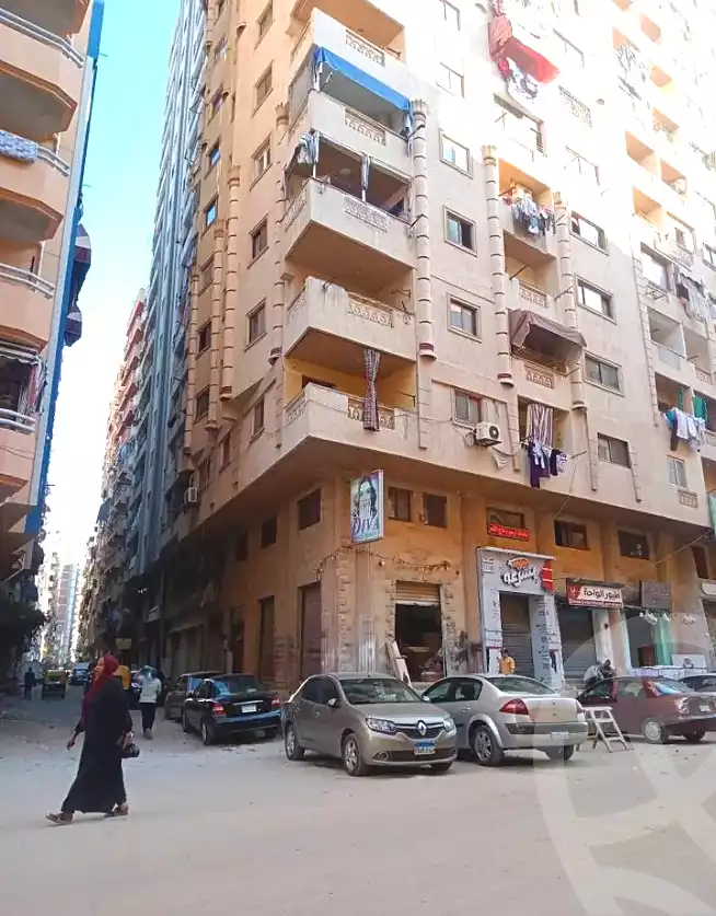 https://aqarmap.com.eg/en/listing/6768308-for-sale-alexandria-el-mandara-nabawy-al-mohandes-st