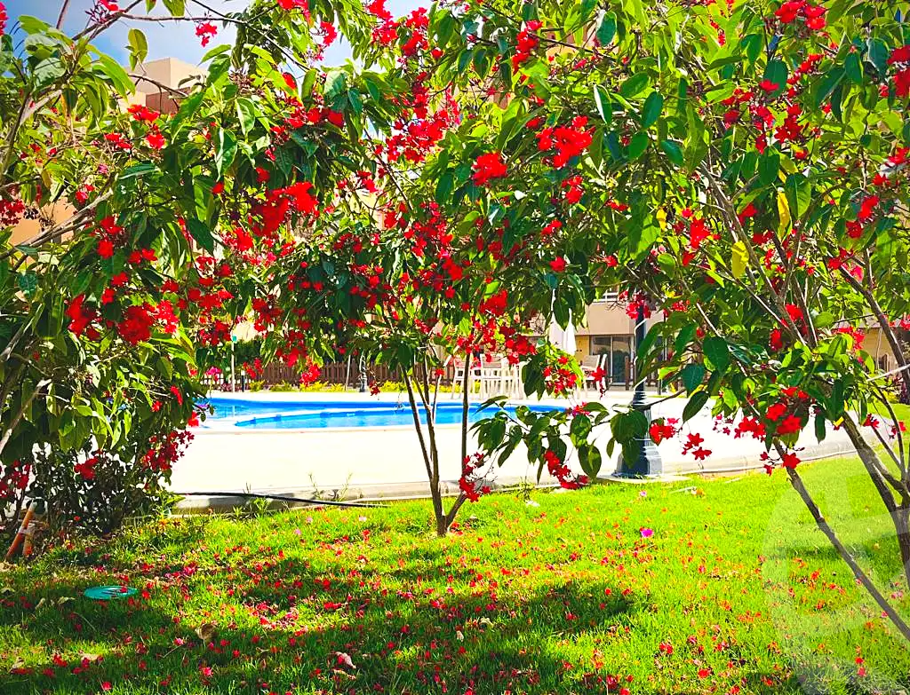 https://aqarmap.com.eg/ar/listing/6768929-for-sale-cairo-6th-of-october-compounds-promenade-residence
