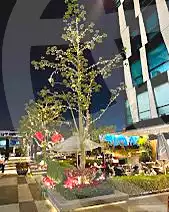 https://aqarmap.com.eg/ar/listing/6775578-for-rent-cairo-el-sheikh-zayed-city-compounds-capital-business-park