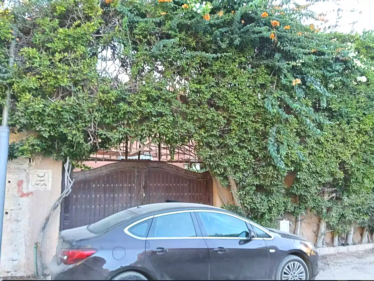 https://aqarmap.com.eg/ar/listing/6776932-for-sale-alexandria-l-jmy-lbytsh-el-hanafeya-st