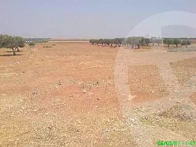 https://aqarmap.com.eg/en/listing/6780035-for-sale-cairo-6th-of-october-lhsry